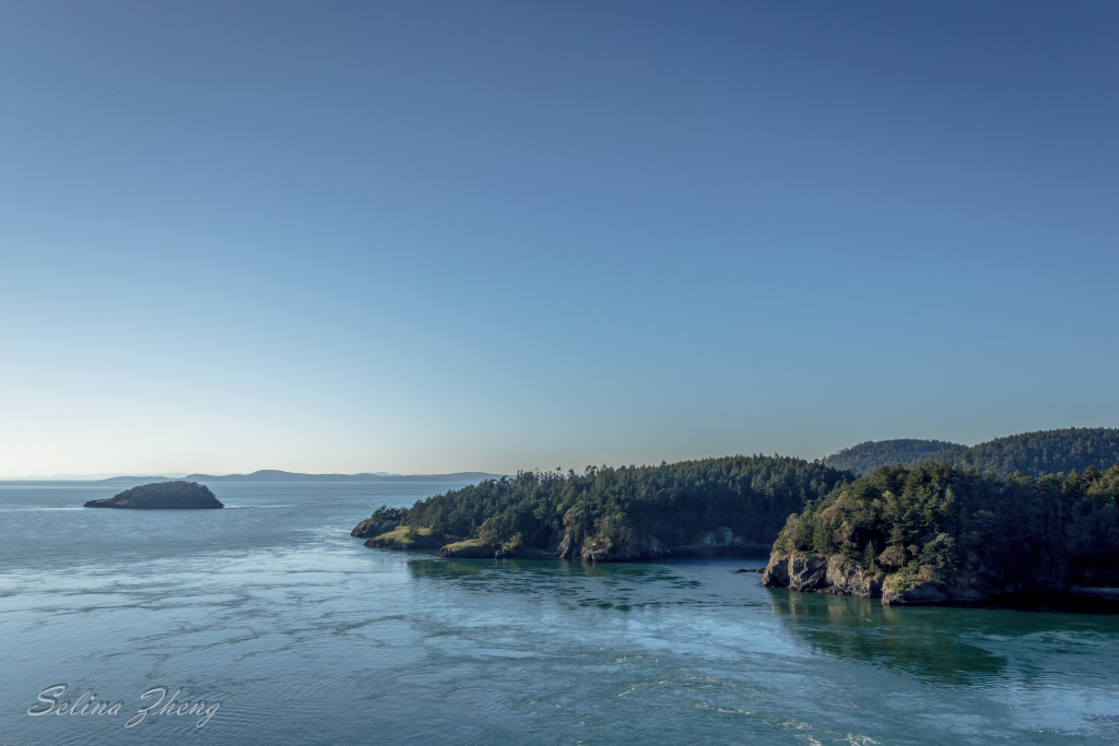 whidbey 5